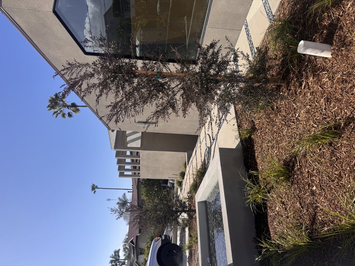 Complete backyard from rear of property